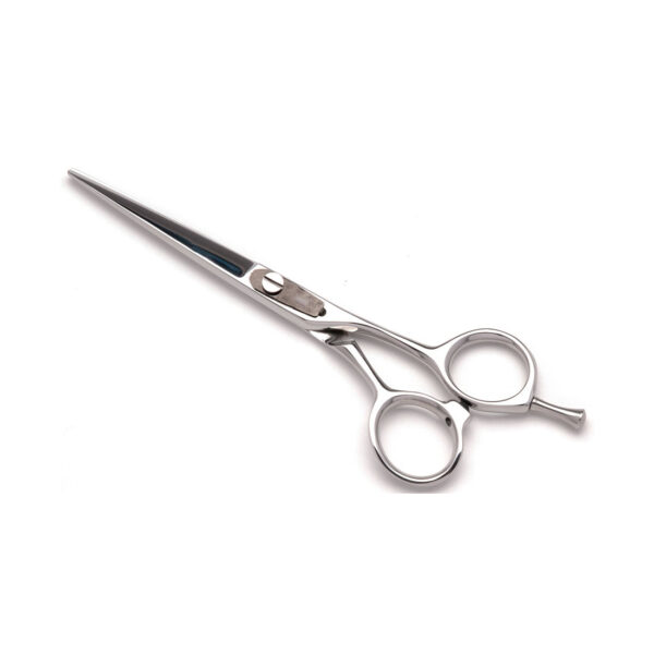 Hair Dressing Scissor