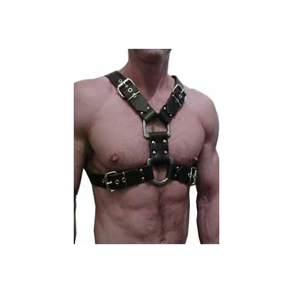 HARNESSES