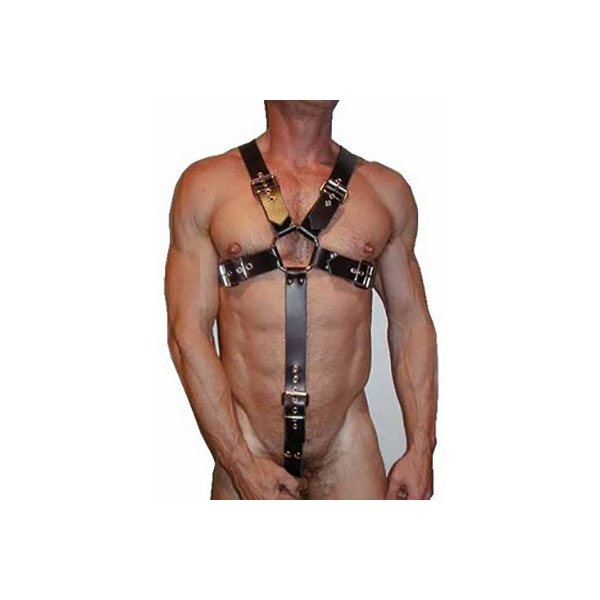 HARNESSES