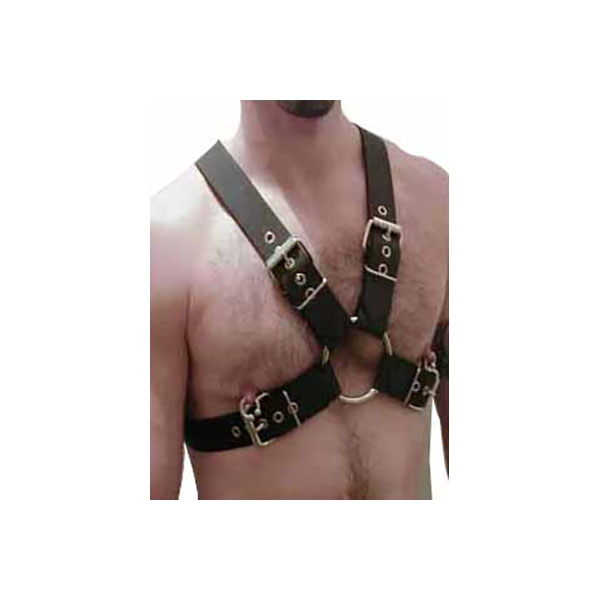 HARNESSES